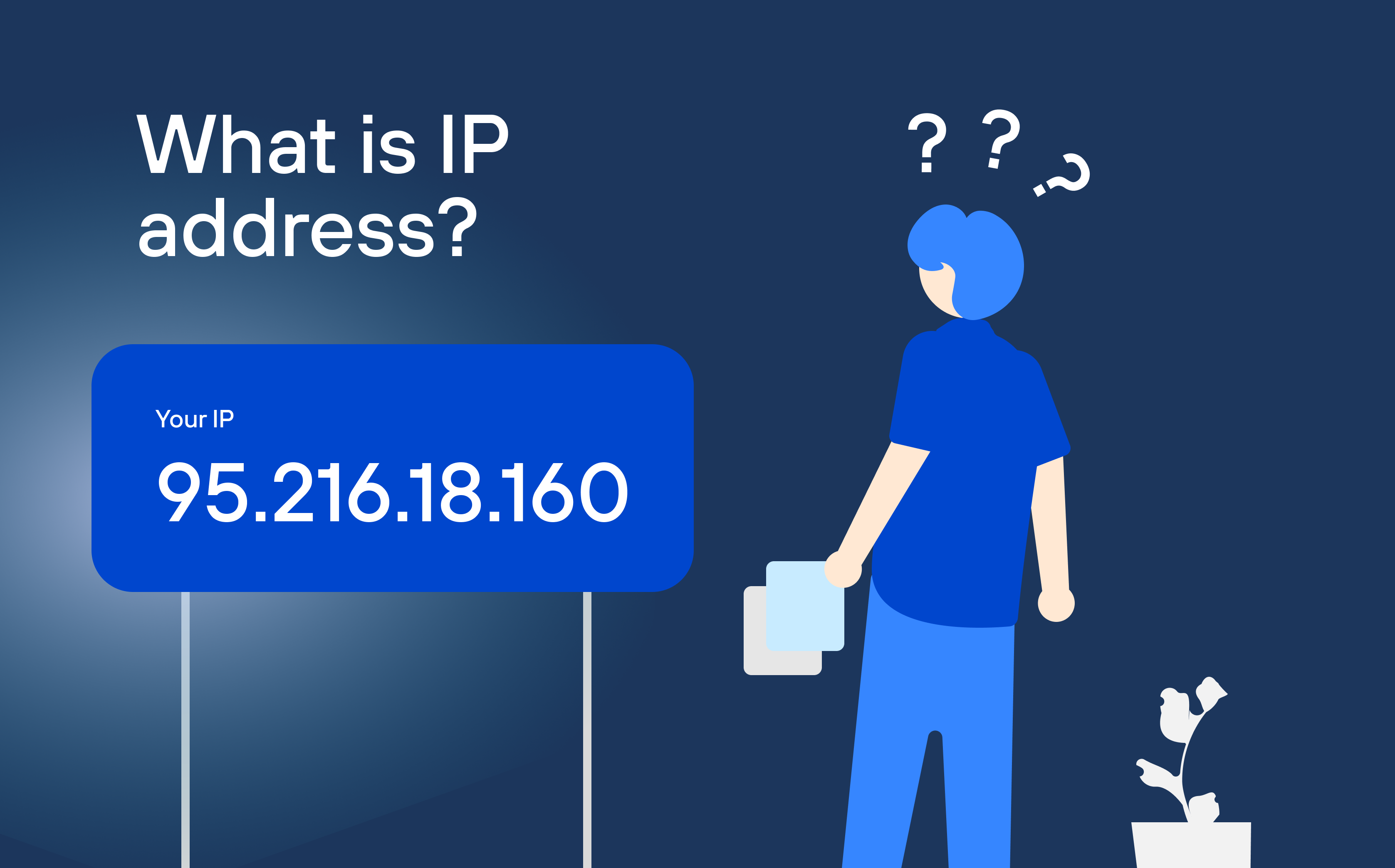 IP Address